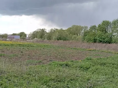 Участок в Владимирская область, Суздальский район, с. Новоалександрово ...