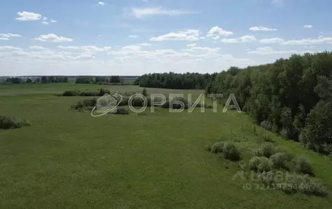 Участок в Тюменская область, Тюменский муниципальный округ, д. Елань  ...