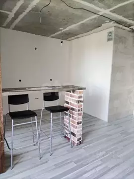 Студия Ленинградская область, Мурино Всеволожский район, Новая ул., ...