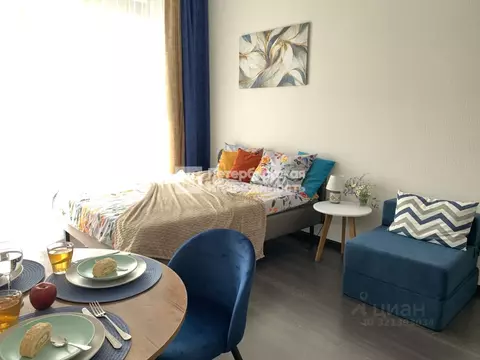 Студия Санкт-Петербург ул. Владимира Пчелинцева, 5 (24.0 м)