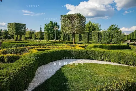 Участок в Московская область, Истра муниципальный округ, д. Чесноково, ...