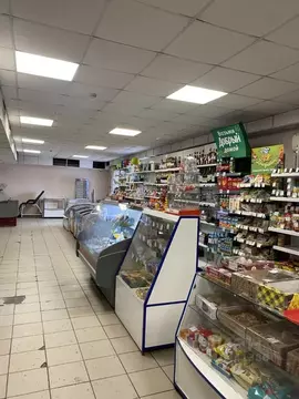 Торговая площадь в Алтайский край, Барнаул ул. Гоголя, 213 (501 м)