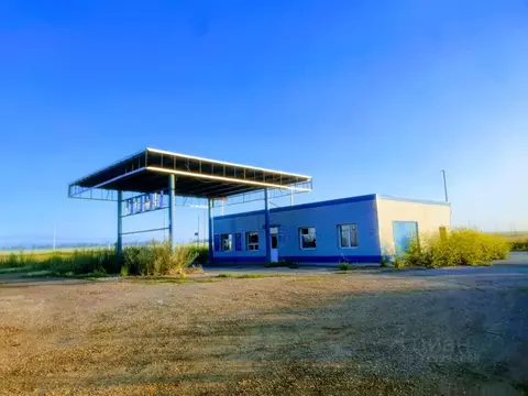 Помещение свободного назначения в Алтайский край, Калманский район, с. ...