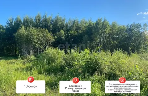 Участок в Хабаровский край, Хабаровский район, с. Гаровка-1  (10.0 ...