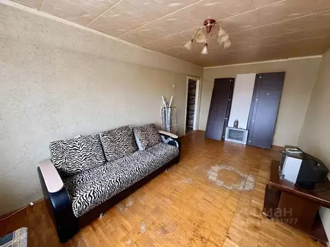 1-к кв. Волгоградская область, Волгоград ул. Мясникова, 4 (31.0 м)