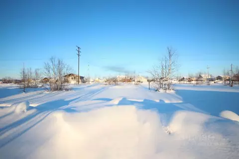 Участок в Ямало-Ненецкий АО, Новый Уренгой Титан ДНТ, 65 (6.0 сот.)