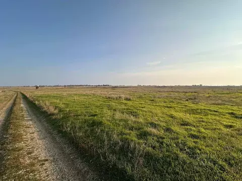 Участок в Крым, Ленинский район, Батальненское с/пос, Нептун СНТ  (8.0 ...