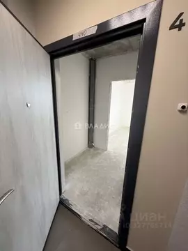 Студия Санкт-Петербург пос. Шушары, просп. Старорусский, 3к2 (18.8 м)