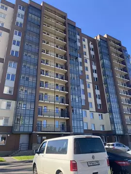 Студия Ленинградская область, Всеволожский район, Заневское городское ...