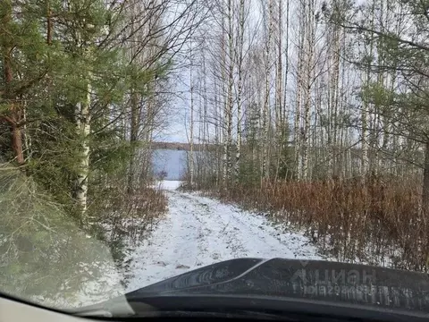 Участок в Новгородская область, Демянский муниципальный округ, д. ...