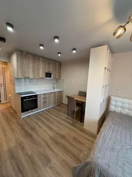 Студия Санкт-Петербург пос. Парголово, Заречная ул., 13к3 (28.0 м)