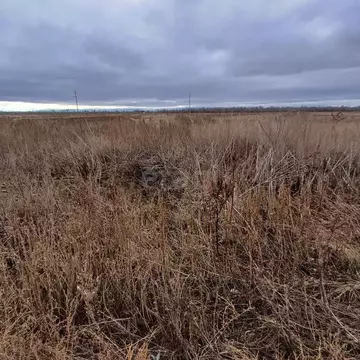 Участок в Оренбургская область, Сакмарский район, с. Беловка ул. ...