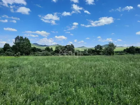 Участок в Алтайский край, Алтайский район, с. Куяган  (520.0 сот.)