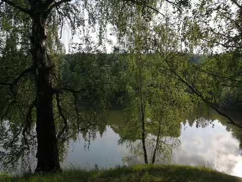 Участок, 10 сот., поселения (ижс)