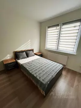 1-к кв. Санкт-Петербург ул. Пахомовская, 14к2 (31.9 м)