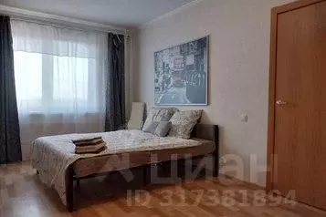 1-к кв. Санкт-Петербург ул. Бабушкина, 84к1 (40.0 м)