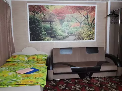 1-к кв. Саратовская область, Вольск Коммунистическая ул., 34 (16.0 м)