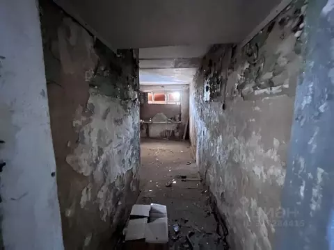 Помещение свободного назначения в Приморский край, Ольгинский ...