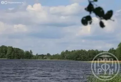 Участок в Володарское сельское поселение, деревня Заозерье, СТ Юг ...