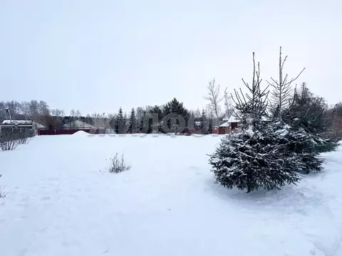 Участок в Новосибирская область, Новосибирский район, с. Боровое ул. ...