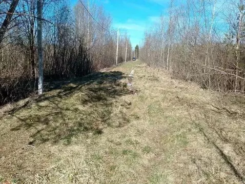 Дом в Новгородская область, Новгородский муниципальный округ, ...