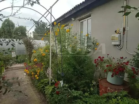 Дом в Курганская область, Курган пос. Карчевская роща, ул. Сады ...