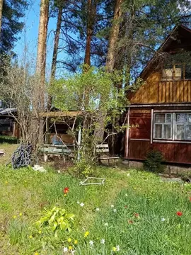 Дом в Кировская область, Кирово-Чепецкий район, Пасеговское с/пос, ...