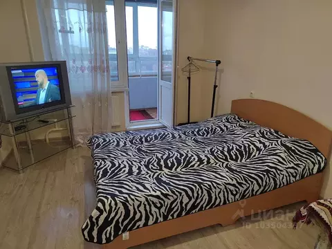 Студия Кировская область, Киров Московская ул., 121к1 (25.0 м)