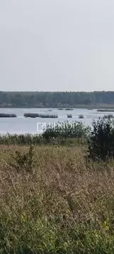 Участок в Ярославская область, Некрасовский муниципальный округ, ...