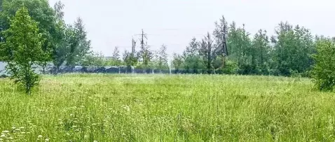 Участок в Ленинградская область, Выборгский район, Полянское с/пос, ...