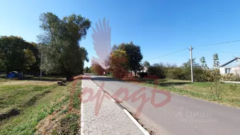 Участок в Орловская область, Орловский муниципальный округ, д. Малая ...