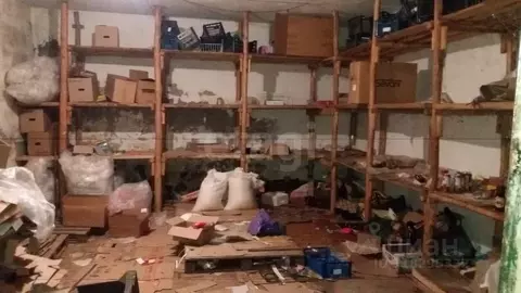 Торговая площадь в Мордовия, с. Старое Шайгово ул. Рабочая, 11 (53 м)