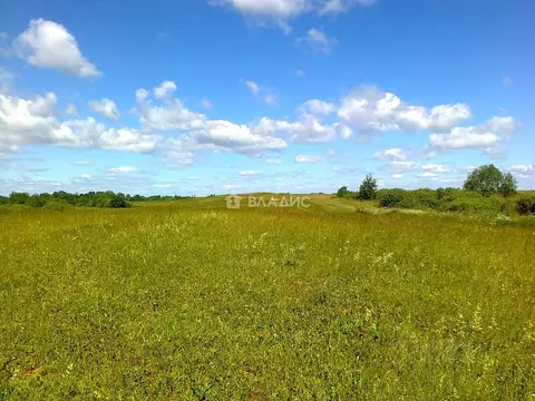 Участок в Ленинградская область, Ломоносовский район, Русско-Высоцкое ...