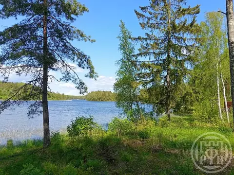 Участок в Карелия, Лахденпохский муниципальный округ, пос. Тиурула ул. ...