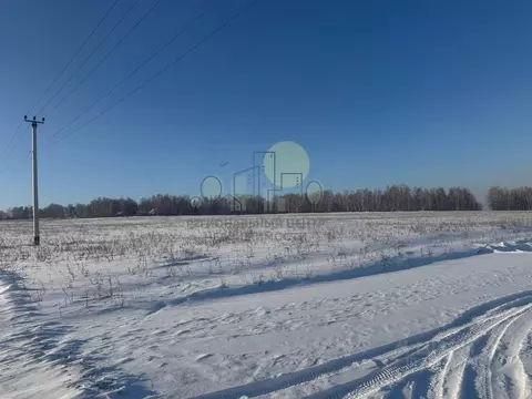 Участок в Иркутская область, Иркутский муниципальный округ, д. ...