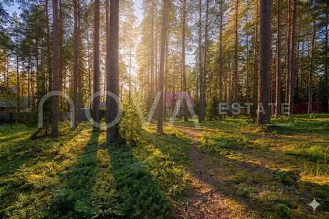 Участок в Санкт-Петербург пос. Комарово, просп. Лесной (21.0 сот.)