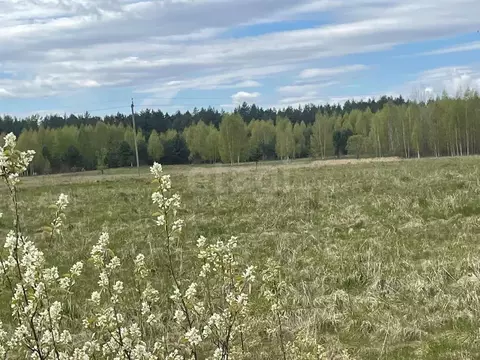 Участок в Псковская область, Печорский муниципальный округ, д. Машково ...