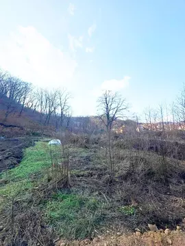 Участок, 6 сот.,