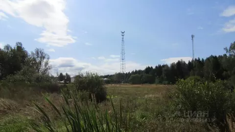 Участок в Московская область, Рузский муниципальный округ, д. Барынино ...