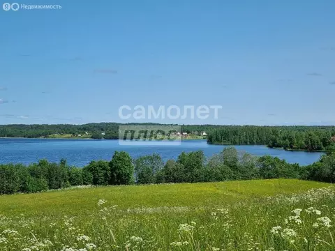 Участок в Вологодская область, Кирилловский муниципальный округ, село ...