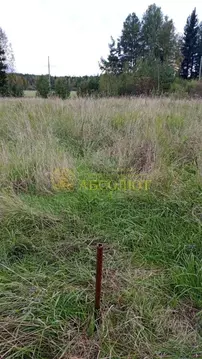 Участок в Свердловская область, Ревда муниципальный округ, с. Мариинск ...