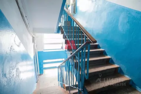 1-к кв. Ярославская область, Ярославль ул. Павлова, 39к2 (13.4 м)