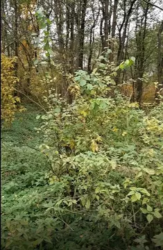 Участок в Московская область, Лосино-Петровский городской округ, д. ...