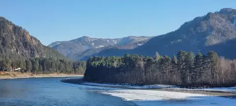 Участок в Алтай, Усть-Коксинский район, пос. Тюгурюк  (10.0 сот.)