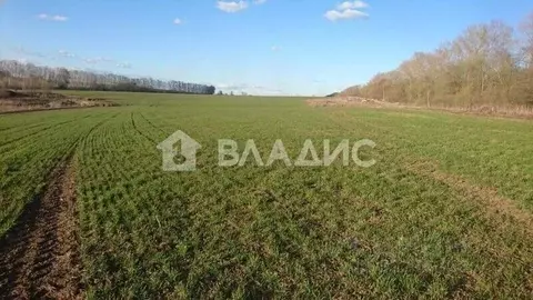 Участок в Калининградская область, Полесский муниципальный округ, пос. ...