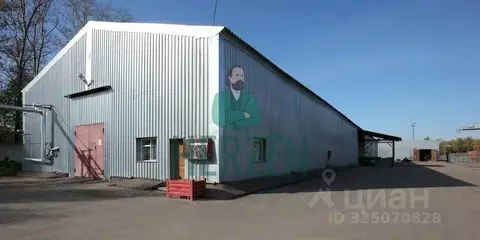 Склад в Московская область, Ступино городской округ, Михнево пгт ул. ...