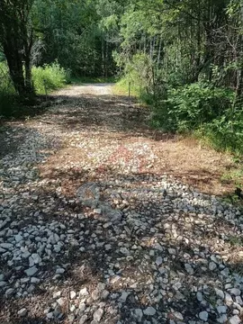 Участок в Владимирская область, Кольчугинский муниципальный округ, ...