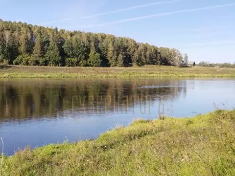Участок в Тверская область, Старицкий муниципальный округ, д. Сасынье  ...