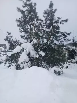 Участок в Московская область, Чехов муниципальный округ, д. Городище  ...