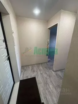 1-к кв. Забайкальский край, Чита Ковыльная ул., 22 (31.0 м)